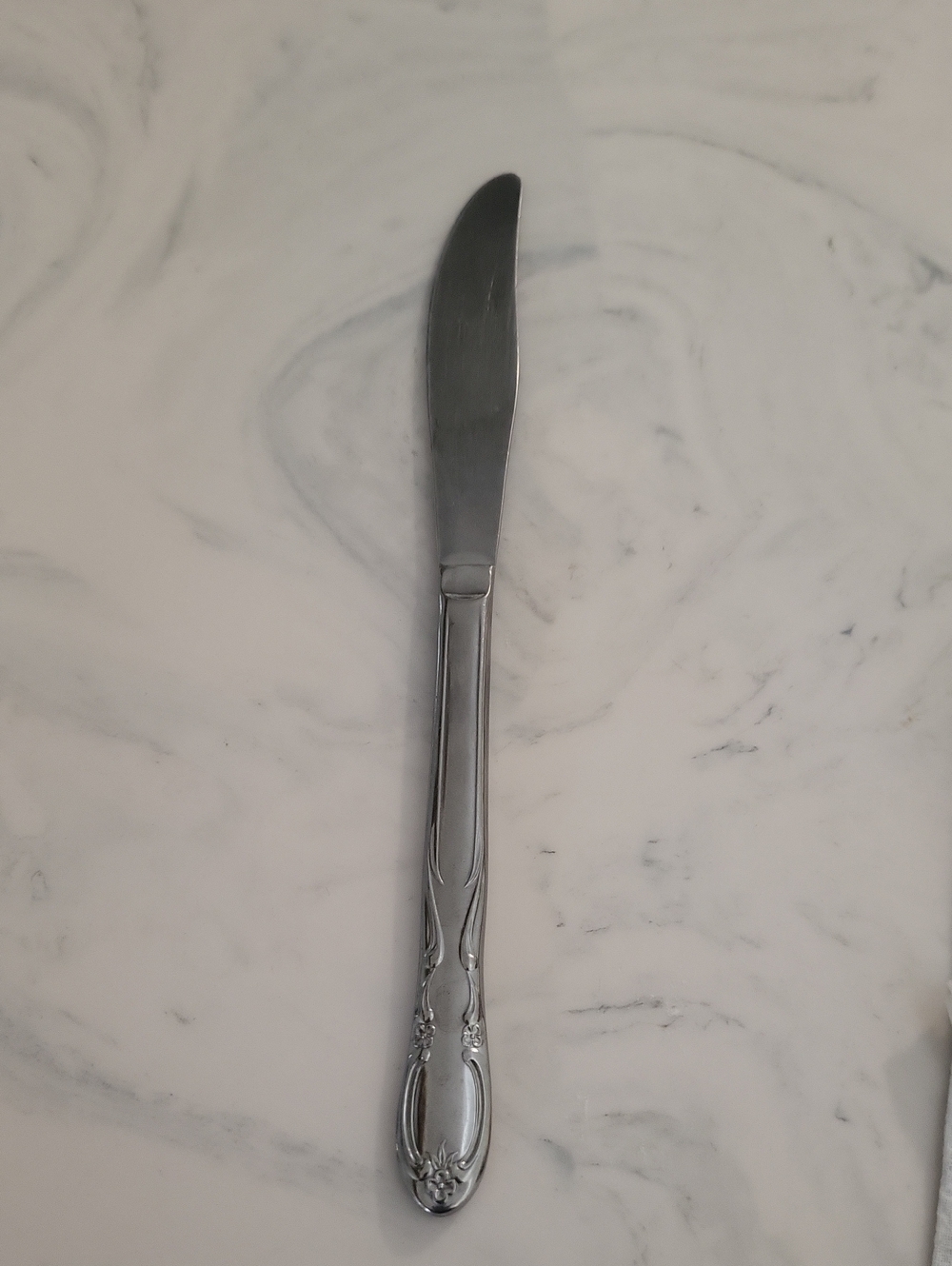 Oneida Silver Stainless Steel Dinner Knife